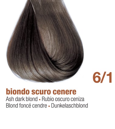 6/1E - ASH DARK BLOND