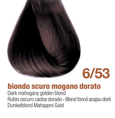 6/53E - DARK MAHOGANY GOLDEN BLOND