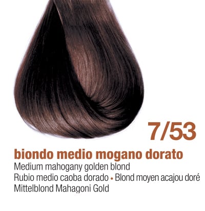 7/53E - MEDIUM MAHOGANY GOLDEN BLOND
