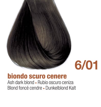 6/01E - ASH DARK BLOND