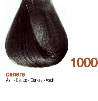 1000E - ASH CORRECTOR