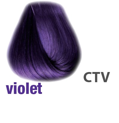 VIOLET - COLOR TRIBE