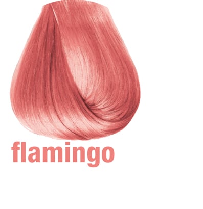 FLAMINGO - COLOR TRIBE
