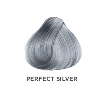 VISION NO-Lift Toner Perfect Silver (60 ml)
